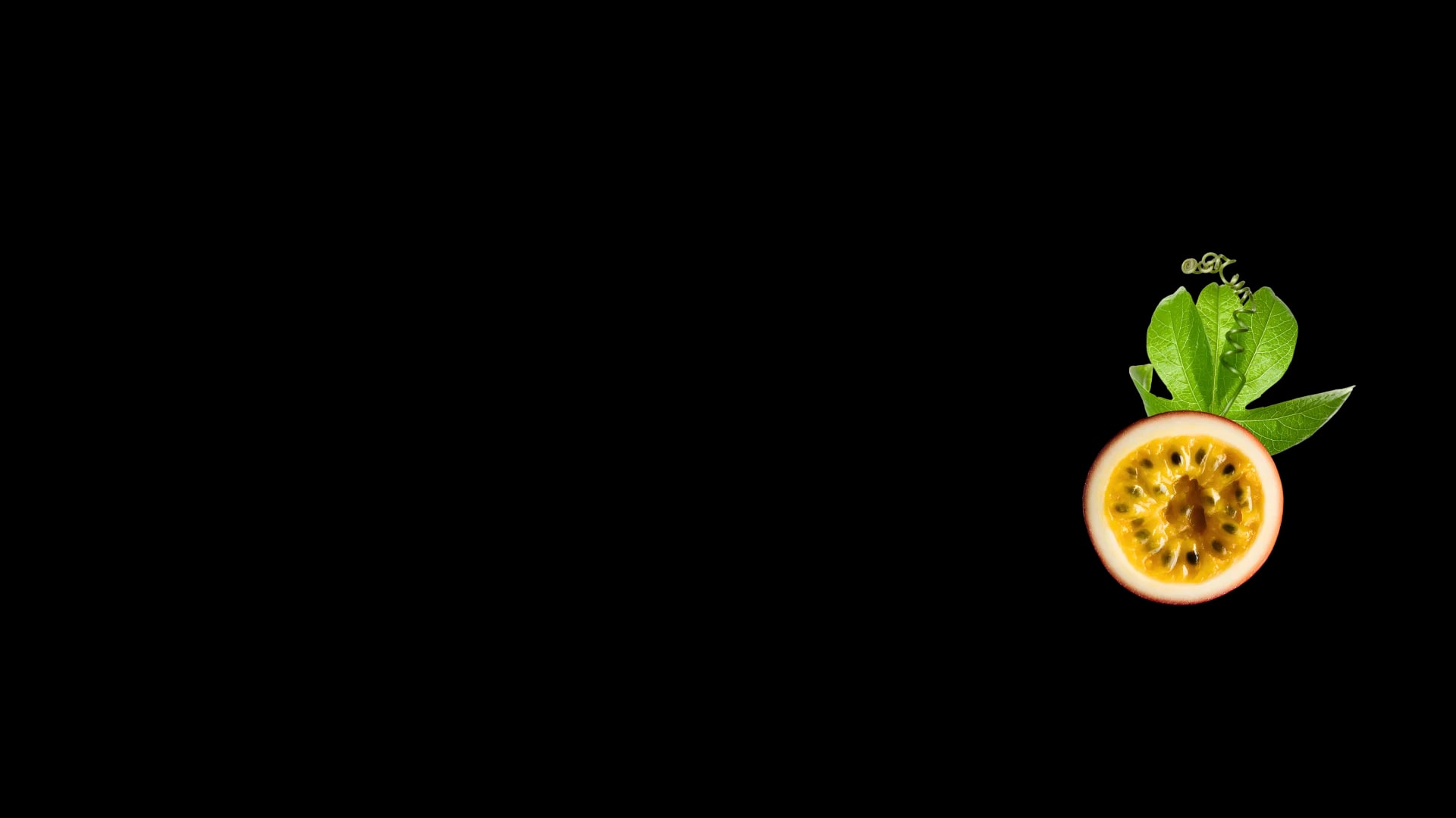 Mangomia Aromía